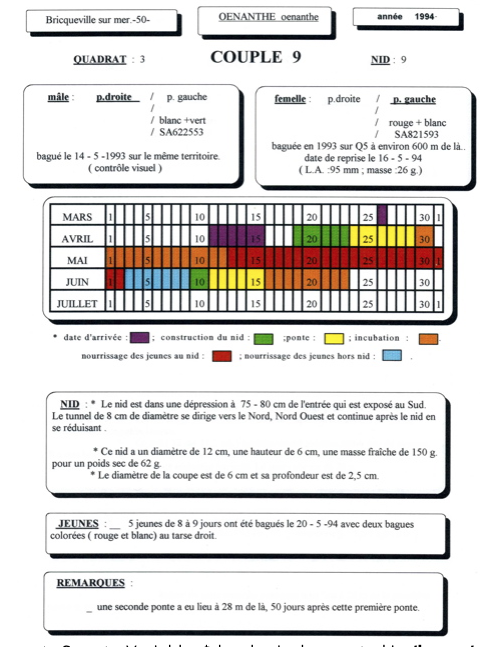 fiche de baguage d'une nichée de traquets (extrait des archives du GONm et commentaire JCo).