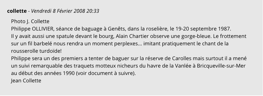 commentaire archives