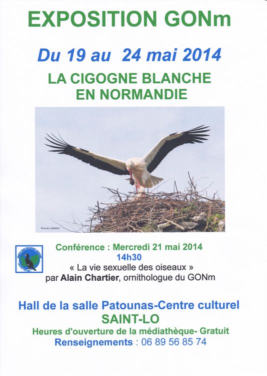 affichecigogne.jpg