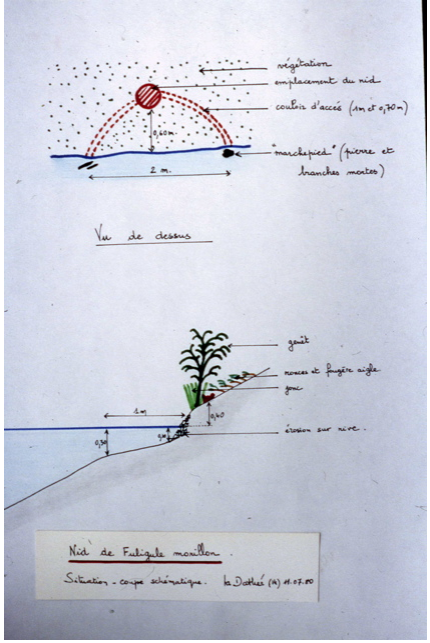 plan de situation du nid