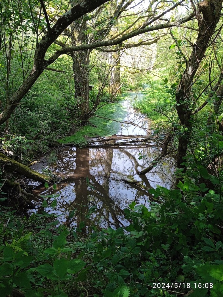 Fossés de rétention