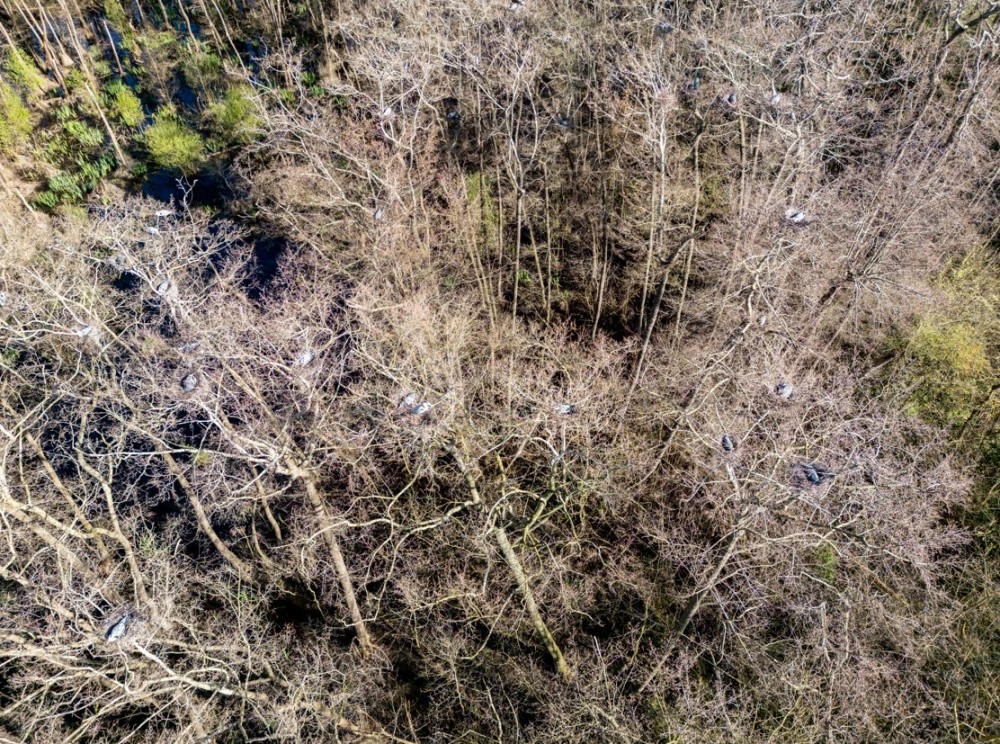 la héronière vue du ciel.jpg