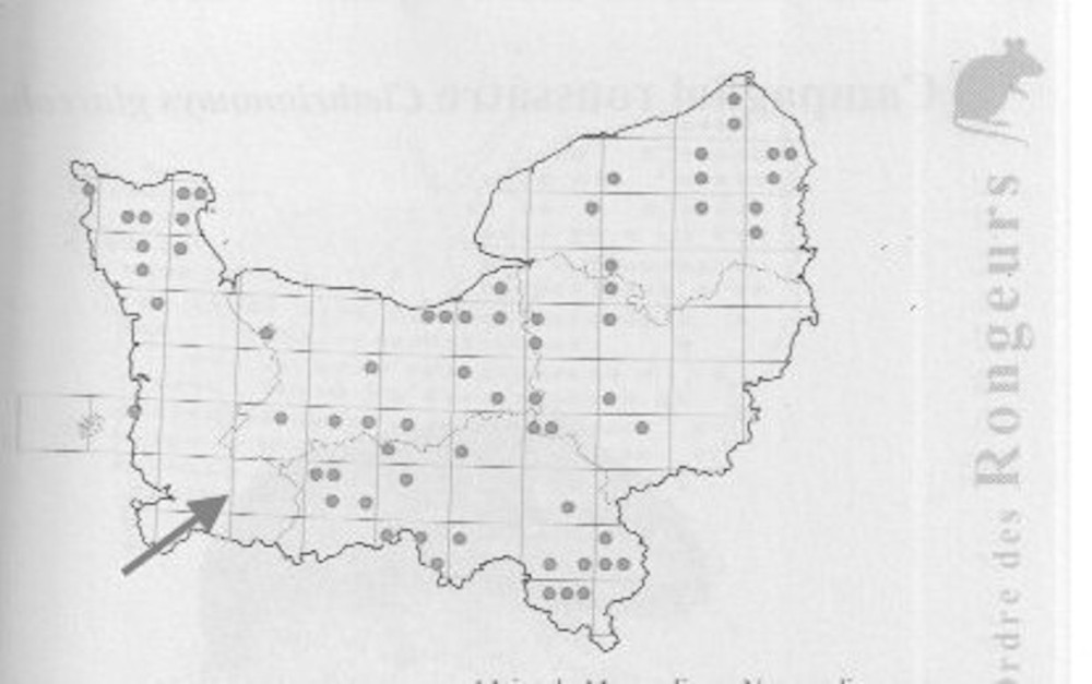 Répartition du muscardin, atlas édité par le Groupe Mammalogique Normand. Février 2004, page 172. Une nouvelle édition mise à jour est en préparation.