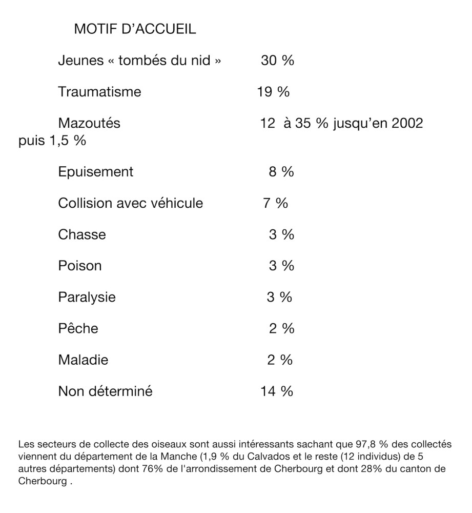 Motif d'acceuil