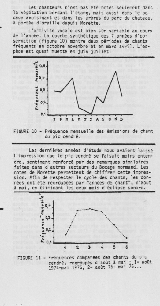Extrait de l'article du Cormoran, page 208.<br />La période concernée est marquée dans le Sud Manche par un grand nombre de communes bocagères amoindries par le remembrement. Le pic cendré sera une victime collatérale des arasements de talus si riches en arbres têtards, chênes et châtaigniers.