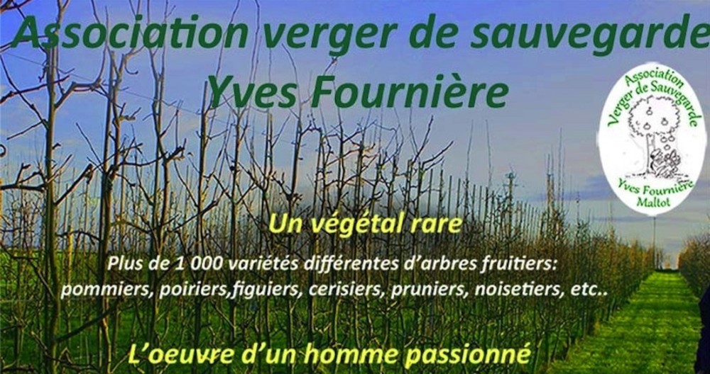 Verger Yves Fournière - copie.jpg