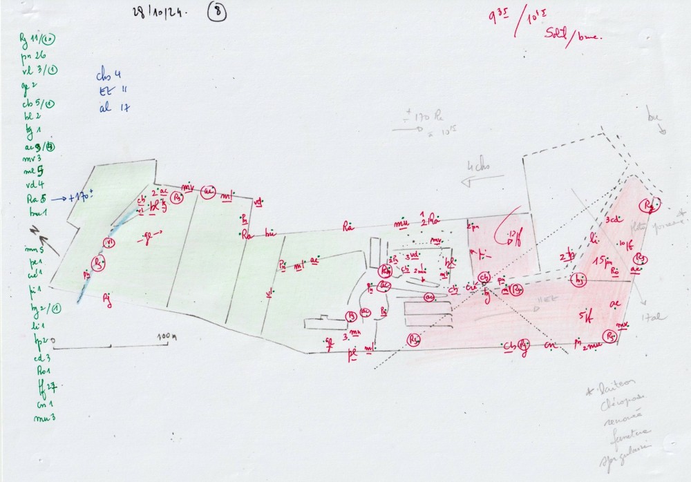 relevé sur plan du 28/10/2024; au nord, les parcelles bocagères de prairie naturelle (pâturage par cheval et foin); au sud, la zone cultivée en maraichage y compris parcelles au repos avant rotation; au centre, l'îlot bâti , serres et boisement d'arbres d'accompagnement dont verger.