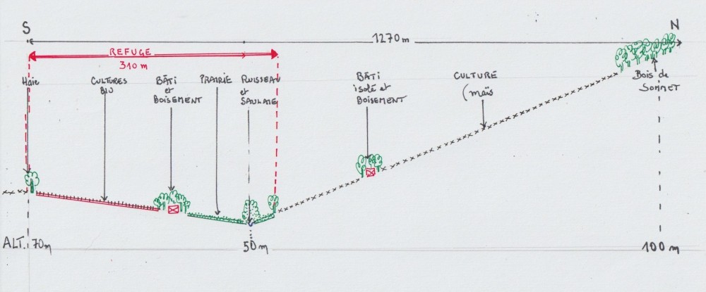 Transect approximatif au droit du refuge