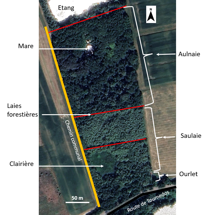 Capture d’écran 2024-11-22 114154.png