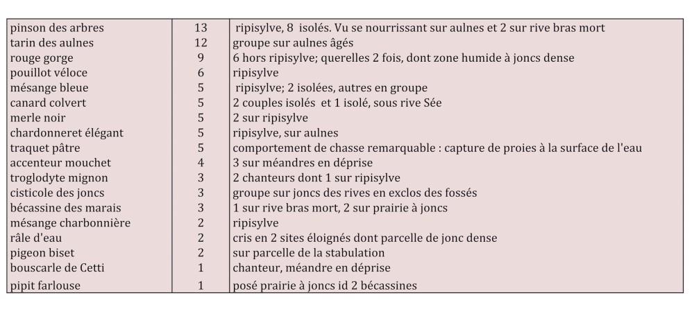 Effectifs sur site