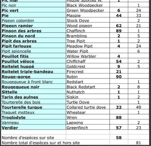liste B.png