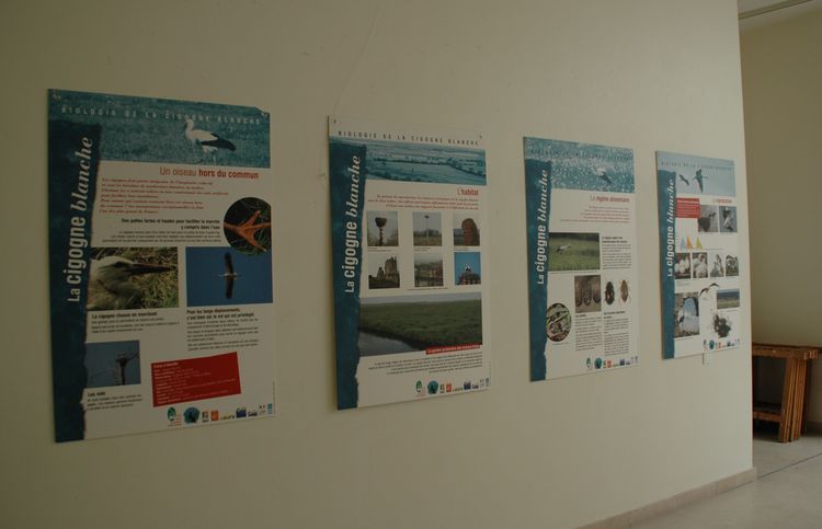 L'exposition était présentée dans le hall de la salle Patounas qui est particulièrement adapté à ce genre de présentation.