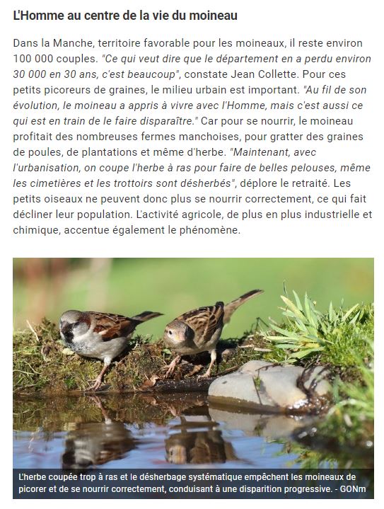 l'abreuvoir,  Jacques Rivière