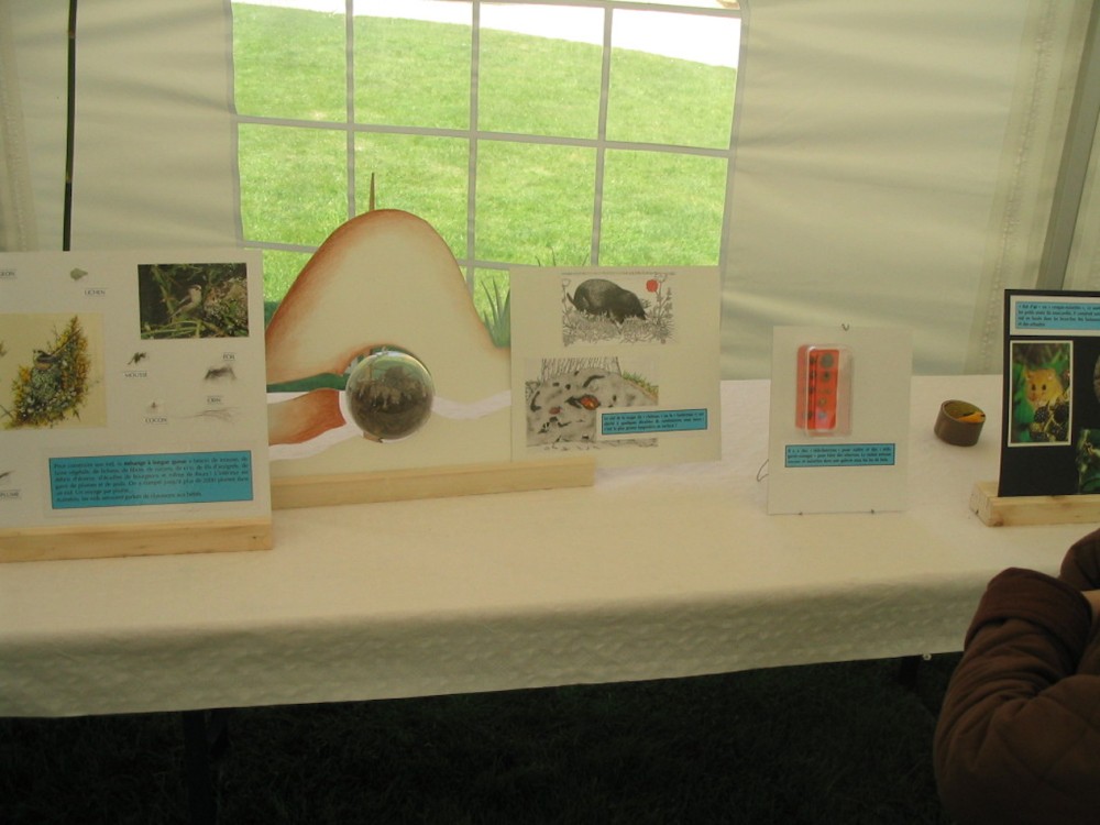 Exposition, château de Crévecoeur-en-Auge/14; avril 2007<br />&quot;Fête des oeufs&quot;, mais aussi des nids; la taupe a le droit de figurer sur le présentoir!