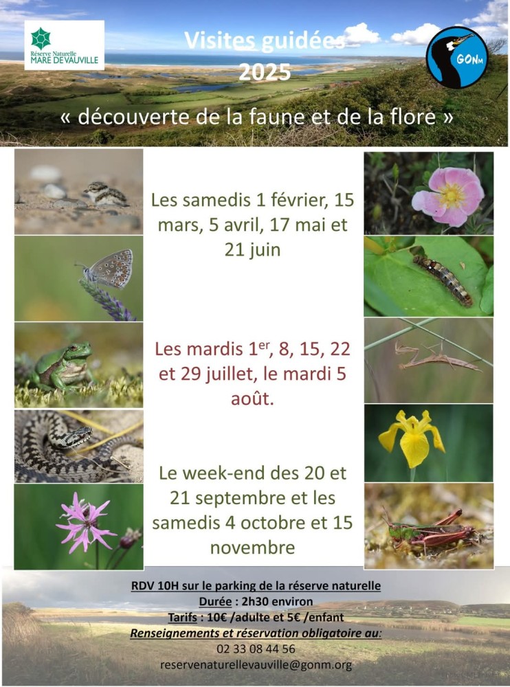 Affiche des animations 2025 à Vauville/50