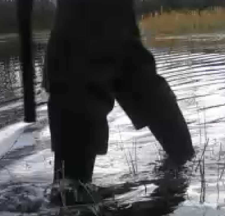chasseur.jpg