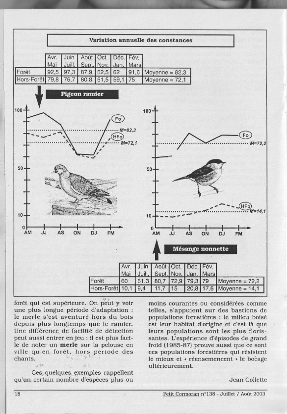 Scan 1.jpeg
