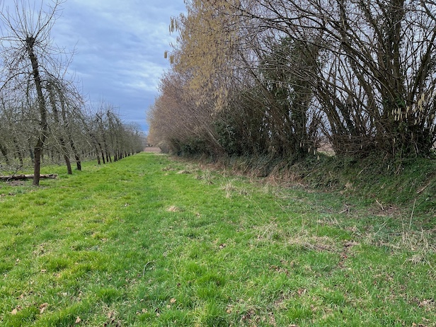 système talus-haie-prairie en bordure du verger basse tige. La pente des arbres fruitiers s'explique par la concurrence pour la lumière exercée par la haie au détriment des pommiers. Cet ensemble haie-verger accueille une population de passereaux supérieure à toute autre combinaison d'habitats  comme l'ont montré les comptages du GONm.