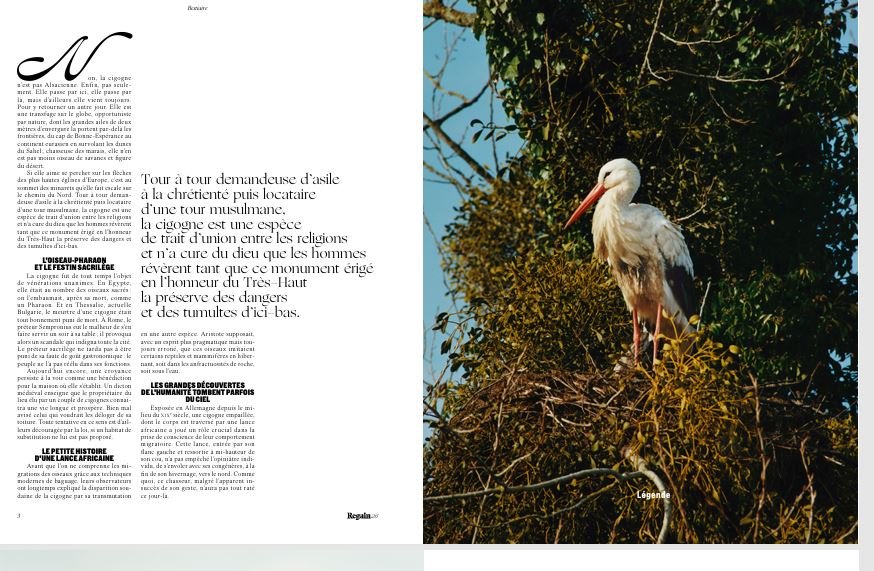 cigogne1_Regain_2025.JPG