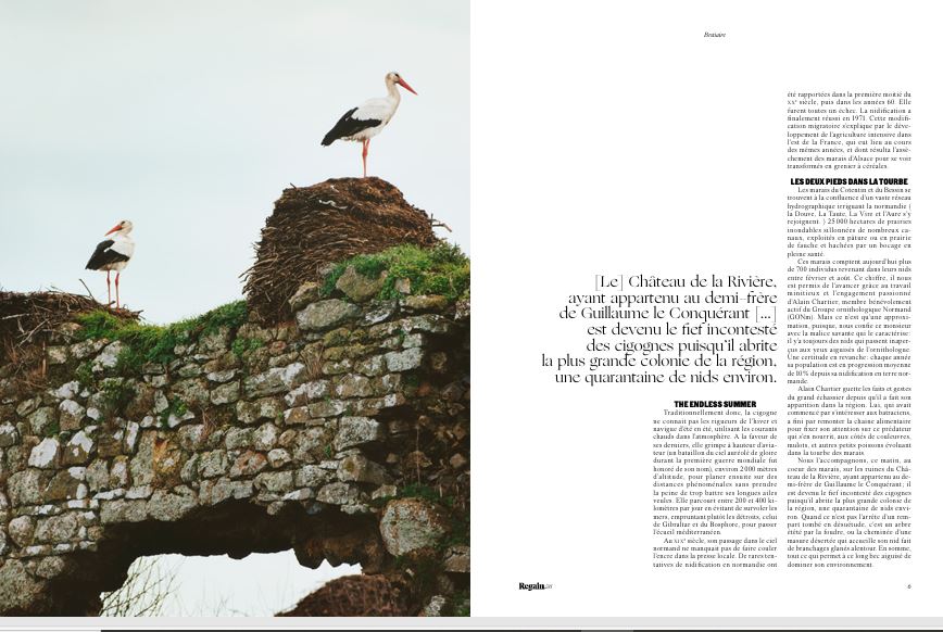Cigogne_1bis_Regain_2025.JPG