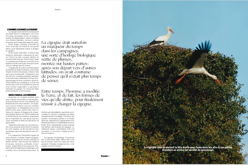 Cigogne2_Regain_2025.JPG