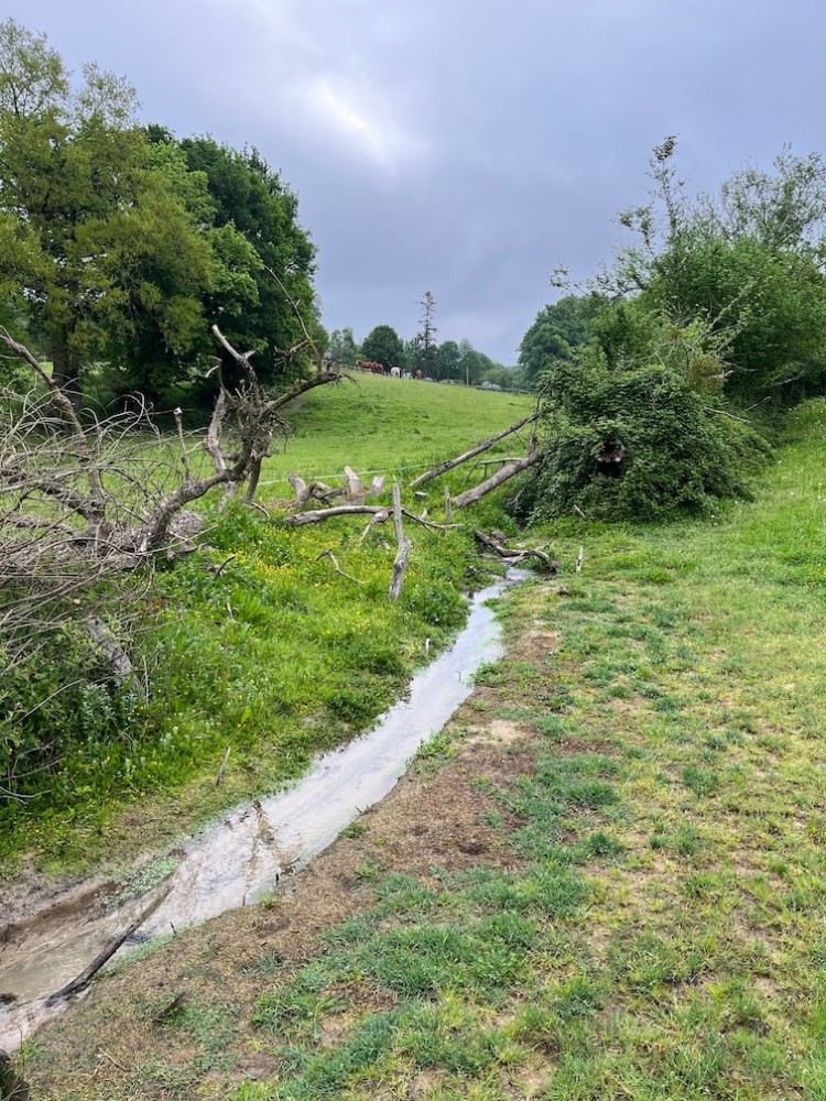 IMG_1819.jpg (509.99 Kio) Vu 15458 fois Eloge du laisser aller supportable... Le vieux peuplier mort est resté là où il es tombé! Et le ruisseau brièvement couvert n'en meurt pas!