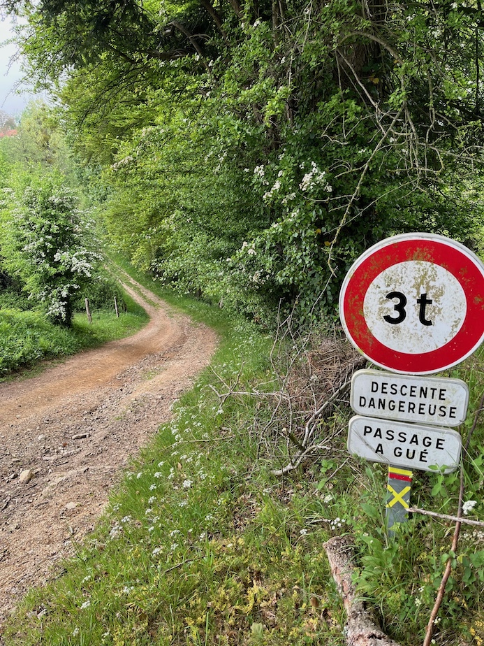 (passage délicat pour vieux genoux...) Le fond de la vallée est pour partie en déprise et les vieux peupliers plaisent au pic épeichette, les ronciers de pente à la fauvette des jardins. Ces espèces ne sont pas la cible première de l'enquête Tendances mais apportent un "supplément d'âme" au parcours!