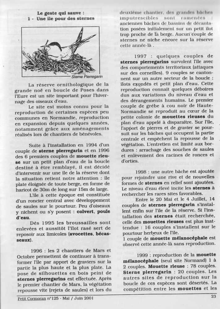 ilots à sternes Le Petit Cormoran, n° 125 mai-juin 2001