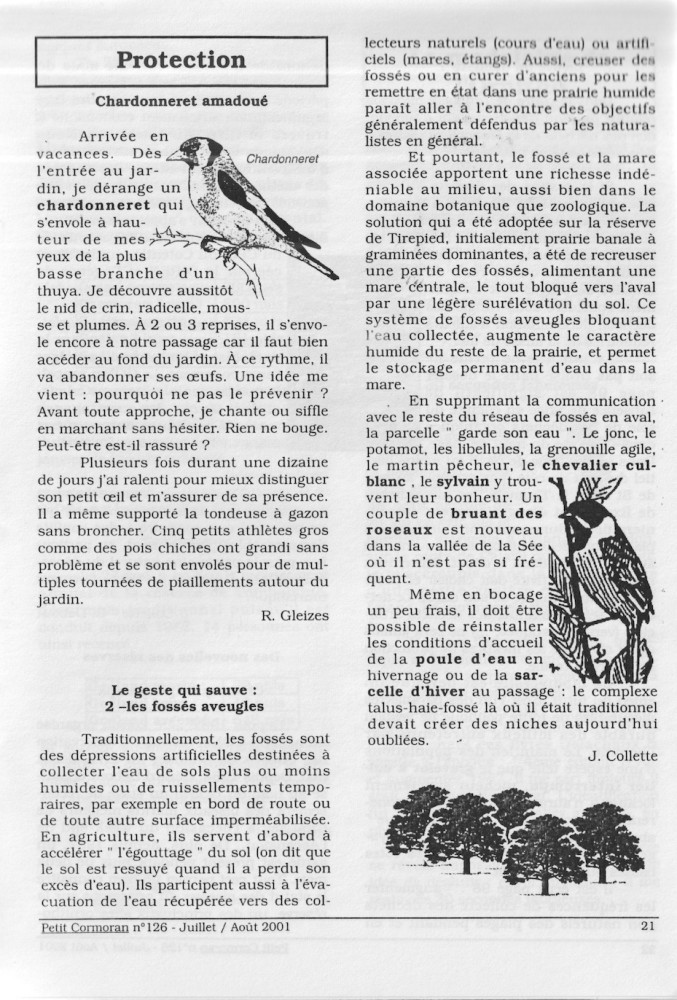 PC 126; &quot;fossés aveugles&quot;, tiré d'une expérience en cours sur la réserve du Montier
