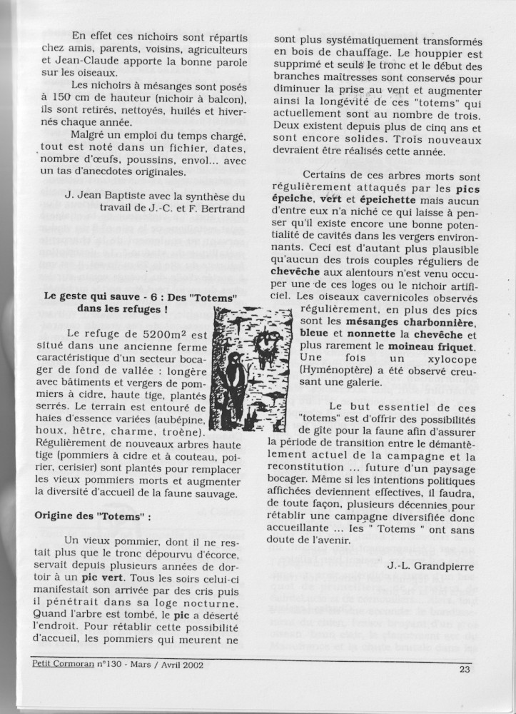 PC 130, les totems ou la meilleure façon de faire durer utilement les arbres morts. Cette pratique a été portée au maximum sur deux sites industriels où le GONm effectuait des suivis (CET Eroudeville et CET Cuves): des troncs morts ou étant destinés à mourir ont été déplantés et transplantés sur des espaces où l'exploitation future ne les mettait pas en danger.