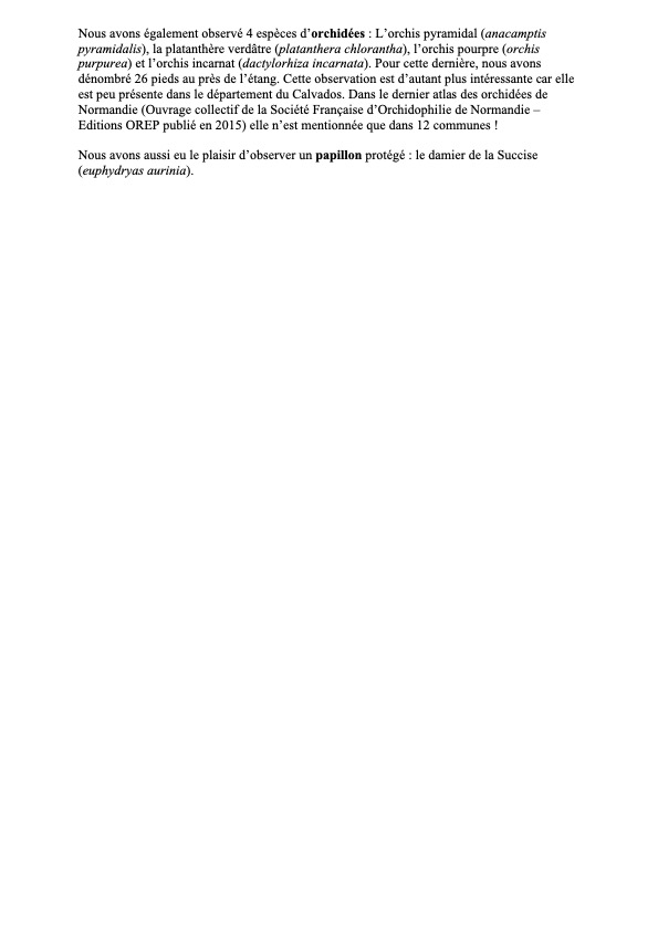 page 2.jpg