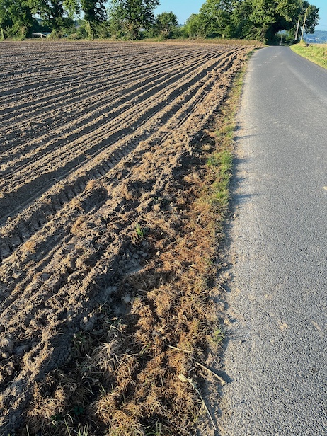 Classique dans le sud Manche, la charrue frôle le macadam sur la berme des petites routes.