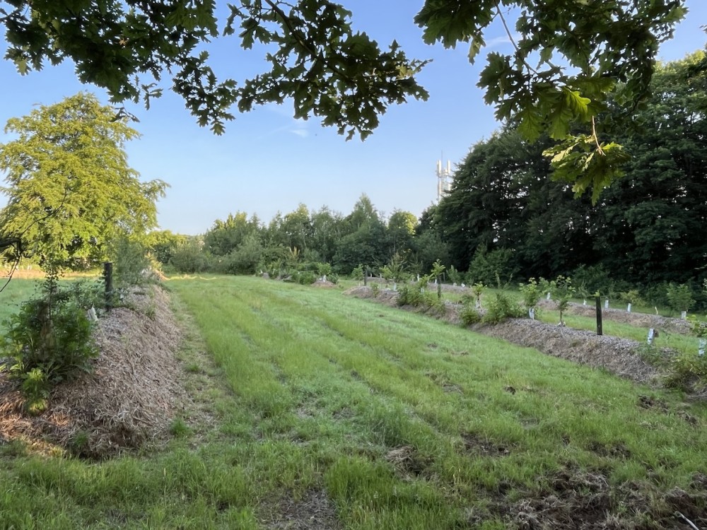 expérience d'agroforesterie