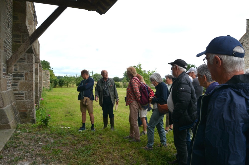 Une effraie dépose ses pelotes sous l'auvent d'une salle. Ramassées chaque mois et analysées par François Leboulenger, ces pelotes nous apprennent que le réseau des fossés plus ou moins colonisés par la roselière, abrite une belle population de rat des moissons!
