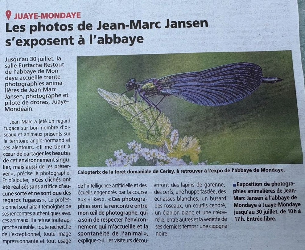 Le Bessin 202507