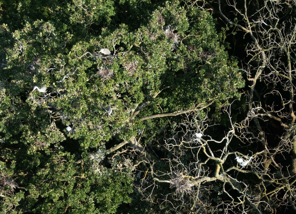 20250728_092205_DJI_0175 - Copie.jpg (794.87 Kio) Vu 6227 fois ©J-M Jansen