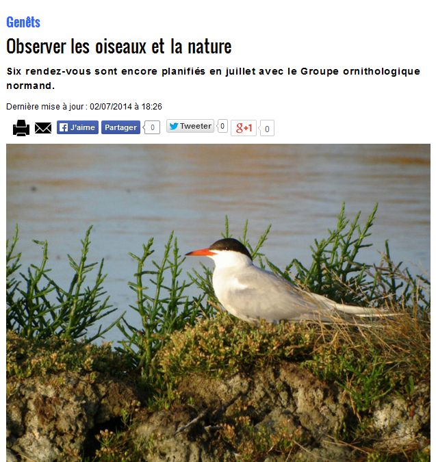 Le chapeau puis ...