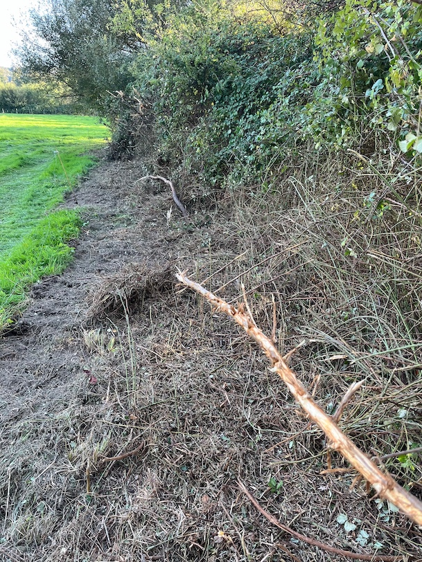 Le broyeur n'a pas d'état d'âme : même les branches de taille moyenne sont détruites. Après les travaux, la haie n'est pas rectiligne : des zones &quot;enflées&quot; par les saules écroulés conservés en place créent des mini bosquets très attractifs pour les oiseaux, aussi bien nicheurs (concentration de territoires) qu'hivernants (dortoirs de grives).<br />La partie supérieure du roncier conserve ses feuilles et ses fruits disponibles pour les oiseaux en hiver.