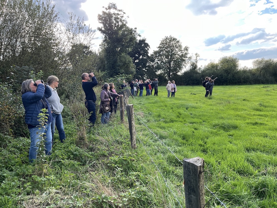 27 septembre, fin d'après midi d'un groupe de participants aux rencontres de Carolles. Le balbuzard passe au dessus de nos têtes!