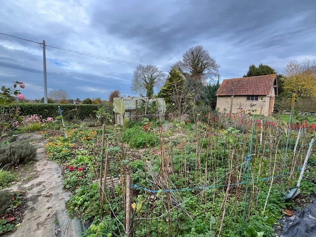 vue générale du potager