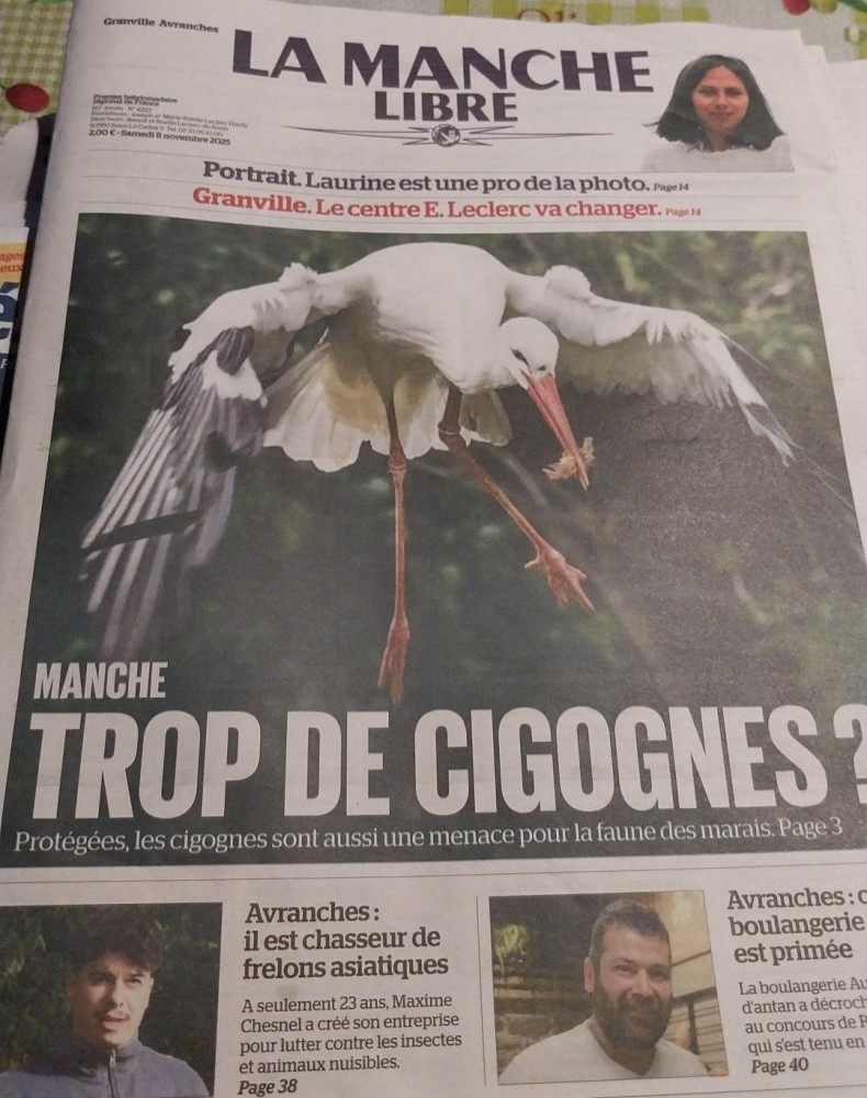 Cigogne_ML_202507_une.jpeg (204.79 Kio) Vu 9869 fois La une de la Manche libre