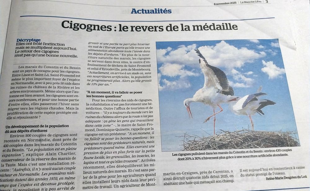 L'article de la Manche libre