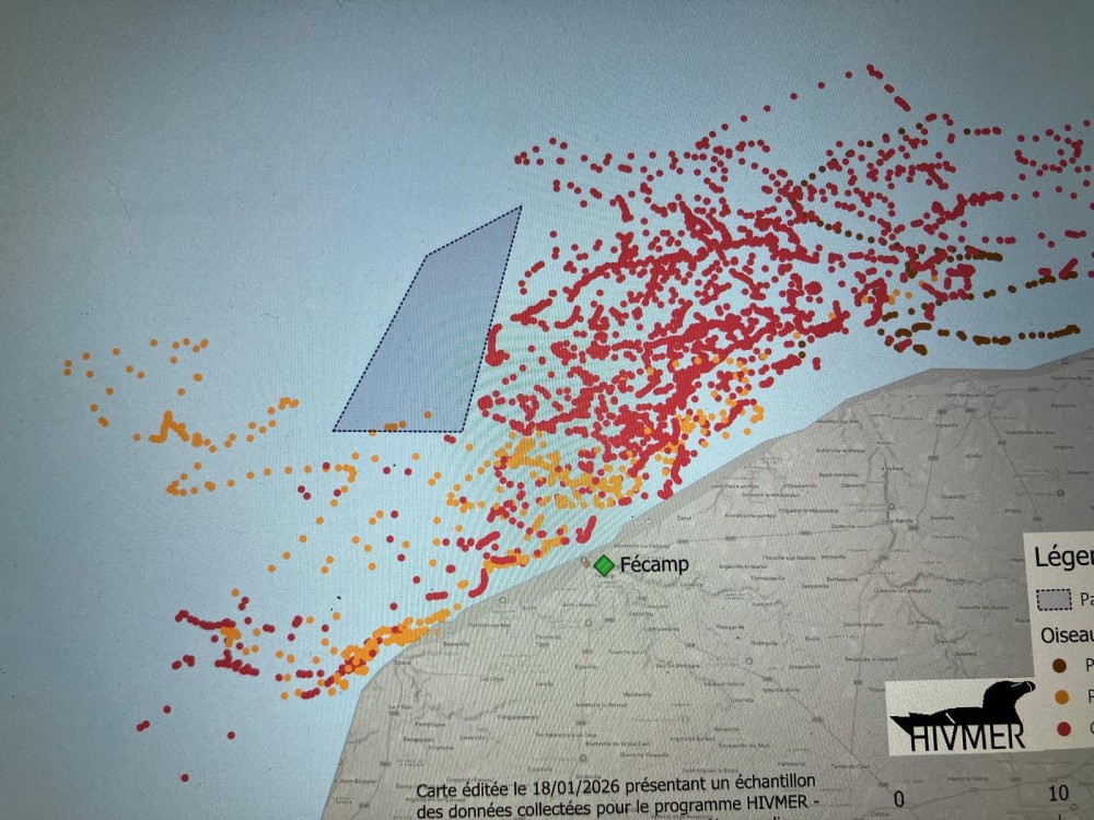 Carte.JPG (483.84 Kio) Vu 2875 fois Localisations de quelques guillemots