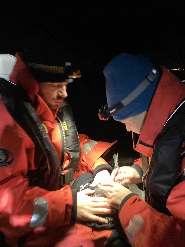 Pose d'une balise.jpg (341.02 Kio) Vu 1157 fois Pose d'une balise GPS