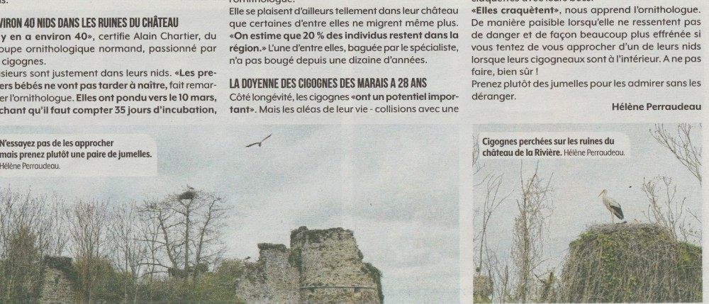 Scan 2.jpeg