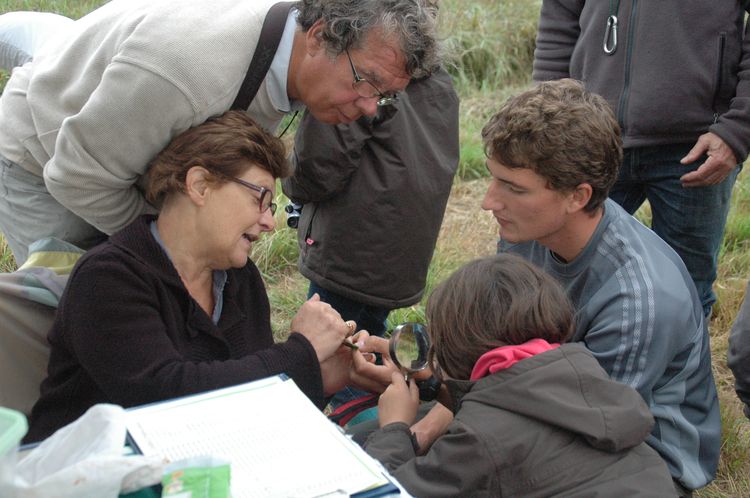Tentative de baguage de criquet ensanglanté?