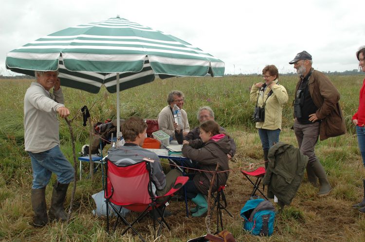 Bonne humeur et sobriété : la preuve!