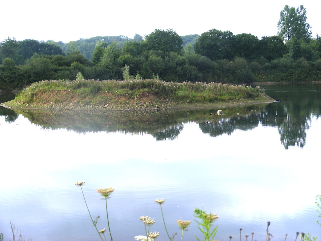 Ilot à rivage profilé.JPG