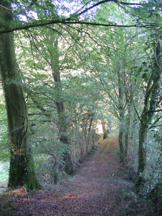 1- chemin .jpg