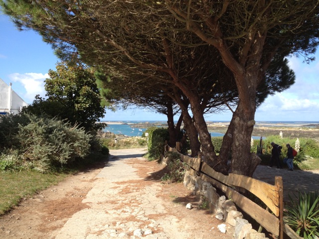 La Grande Île sous le chaud soleil de l’automne ; ce n’est pas une blague !